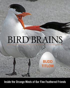 Hardcover Bird Brains: Inside the Strange Minds of Our Fine Feathered Friends Book