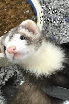 I Love Ferrets