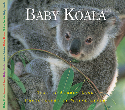 Paperback Baby Koala (Nature Babies) Book