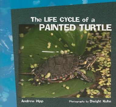 Paperback The Life Cycle of a Painted Turtle Book