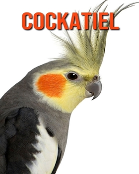 Cockatiel: Amazing Facts about Cockatiel