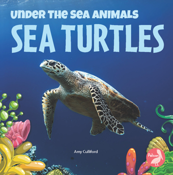 Paperback Sea Turtles Book