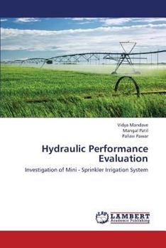 Paperback Hydraulic Performance Evaluation Book