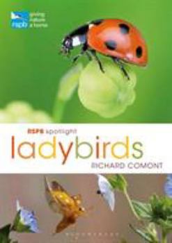 Paperback Rspb Spotlight Ladybirds Book