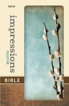 Hardcover NIV, Impressions Collection Bible, Hardcover, Turquoise/Gray Book