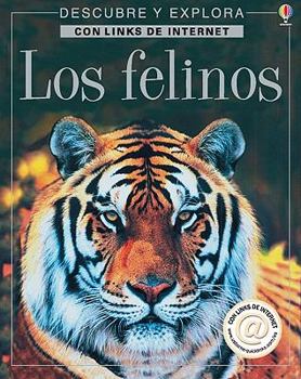 Paperback Los Felinos / Big Cats: Internet Linked (Descubre Y Explora) (Spanish Edition) [Spanish] Book