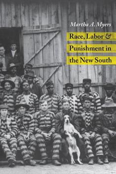 RACE LABOR PUNISHMENT IN NEW SOUTH (HISTORY CRIME & CRIMINAL JUS) - Book  of the History of Crime and Criminal Justice