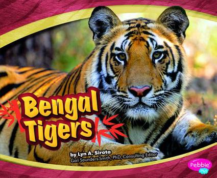 Bengal Tigers - Book  of the Asian Animals
