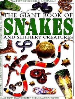Hardcover Snakes and Slithery Creatures Book