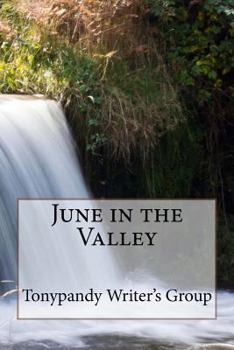 Paperback June in the Valley Book