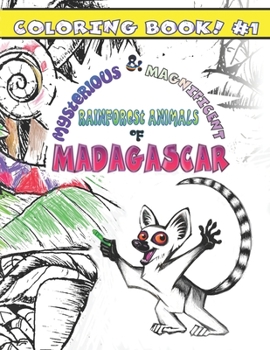 Paperback Mysterious & Magnificent Rainforest Animals of Madagascar: Coloring Book #1 Book