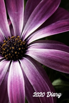 2020 Diary: African Daisy Week-to-View Planner (6"x9" 90 pages A5 Paperback)
