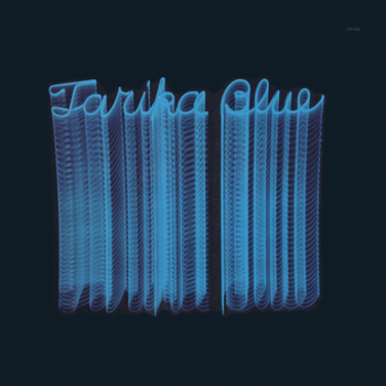 Vinyl Tarika Blue   Tarika Blue Book