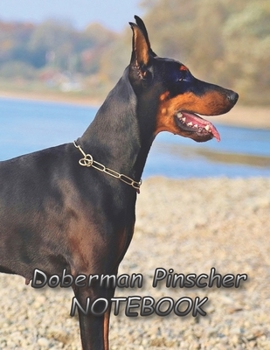 Paperback Doberman Pinscher NOTEBOOK: Notebooks and Journals 110 pages (8.5"x11") Book