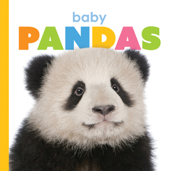 Baby Pandas - Book  of the Starting Out