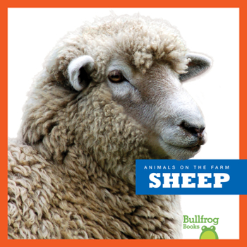 Paperback Sheep Book