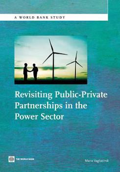 Paperback Revisiting Public-Private Partnerships in the Power Sector Book