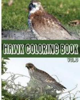 Paperback Hawk Coloring Book