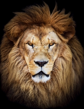 Paperback Graph Paper Notebook: Quad Ruled Graphing Paper, 200 Pages, Lion Head (8.5x11) Book