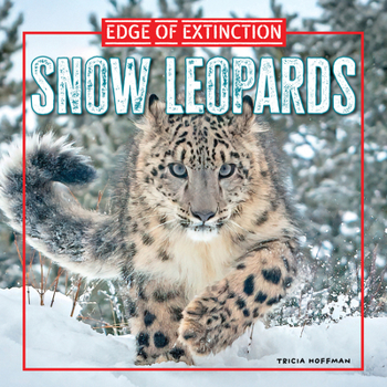 Library Binding Snow Leopards Book