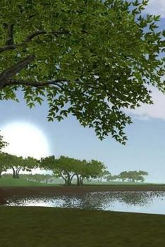 Paperback Trees Notebook Book