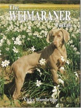 Hardcover The Weimaraner Today Book
