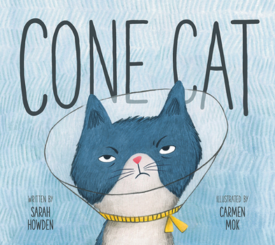 Hardcover Cone Cat Book