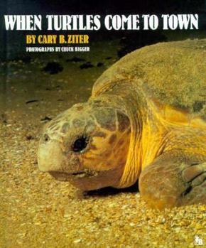 Library Binding When Turtles Come to Town Book