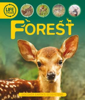 Hardcover Forest Life Cycles Book