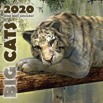 Paperback Big Cats 2020 Mini Wall Calendar Book