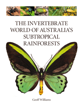 Hardcover The Invertebrate World of Australia's Subtropical Rainforests Book