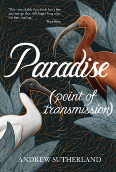 Paperback Paradise (Point of Transmission) Book