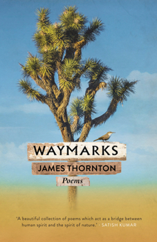 Paperback Waymarks Book