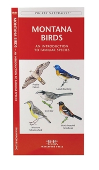 Pamphlet Montana Birds: A Folding Pocket Guide to Familiar Species Book