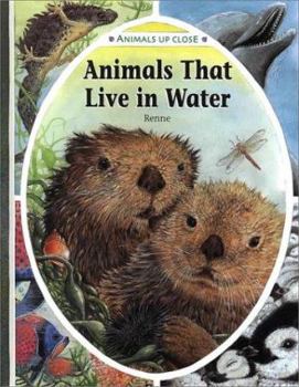 Animals That Live in Water - Book  of the Animals Up Close