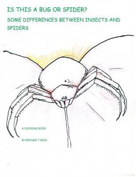 Paperback Is this a Bug or Spider?: Some Differences between Insects and Spiders: A Coloring Book