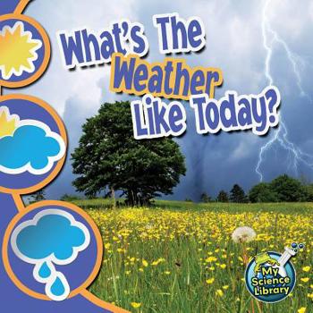 Library Binding What's the Weather Like Today? Book