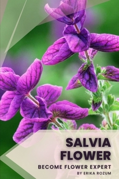 Salvia Flower: Become flower expert