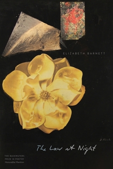 Paperback The Law at Night Book