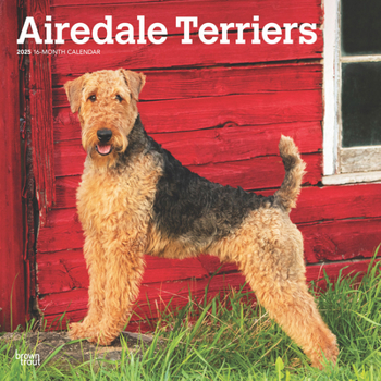 Calendar Airedale Terriers 2025 12 X 24 Inch Monthly Square Wall Calendar Plastic-Free Book