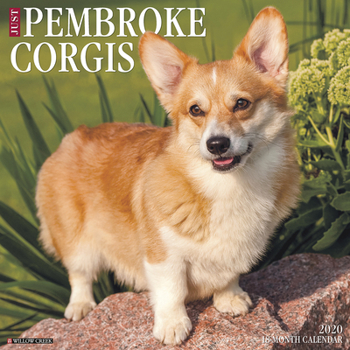 Calendar Just Pembroke Corgis 2020 Wall Calendar (Dog Breed Calendar) Book