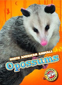 Library Binding Opossums Book