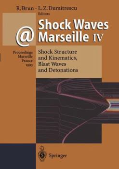Shock Waves and Marseille IV: Shock Structure and Kinematics, Blast Waves and Detonations : Proceedings of the 19th International Symposium on Shock (Springer Series in Wood Science)