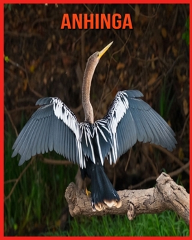 Anhinga: Sch?ne Bilder & Kinderbuch mit interessanten Fakten ?ber Anhinga