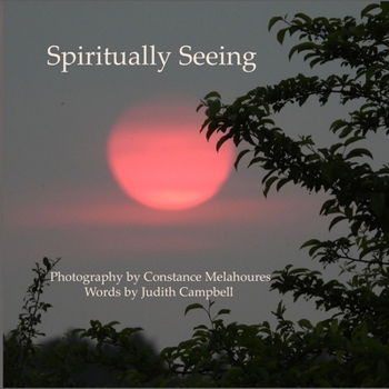 Paperback Spiritually Seeing Book