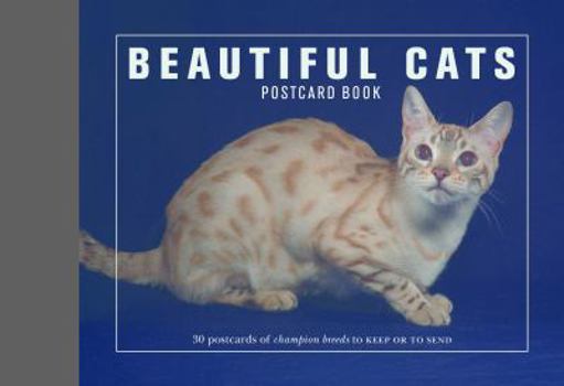 Beautiful Cats Postcard Book : 30 Postcards of Champion Breeds to Keep or Send