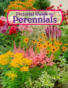 Paperback Pictorial Guide to Perennials Book