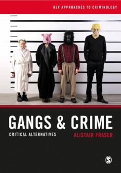 Hardcover Gangs & Crime: Critical Alternatives Book