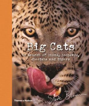 Hardcover Big Cats: In Search of Lions, Leopards, Cheetahs, and Tigers Book