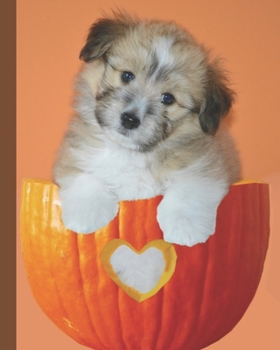 Paperback Primary Story Journal: Grades K-2 Composition Book - Dotted Midline and Picture Space - Puppy in Pumpkin Book